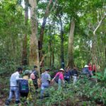 Nam cát tiên ảnh khách