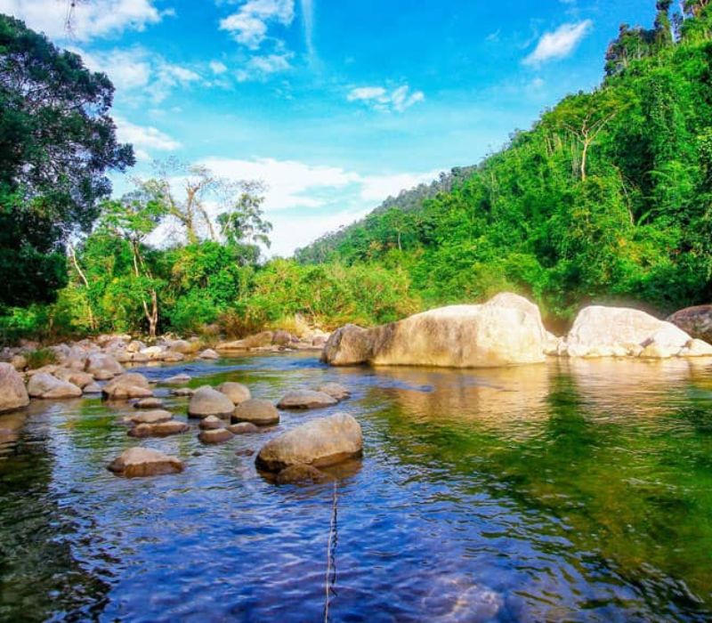 Suối tiên 4